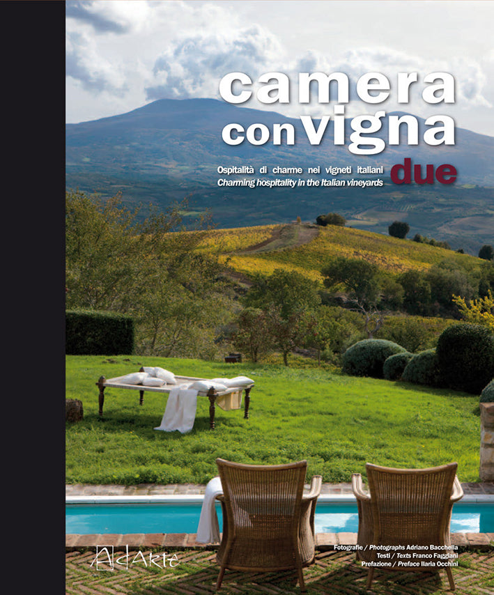 CAMERA CON VIGNA 2